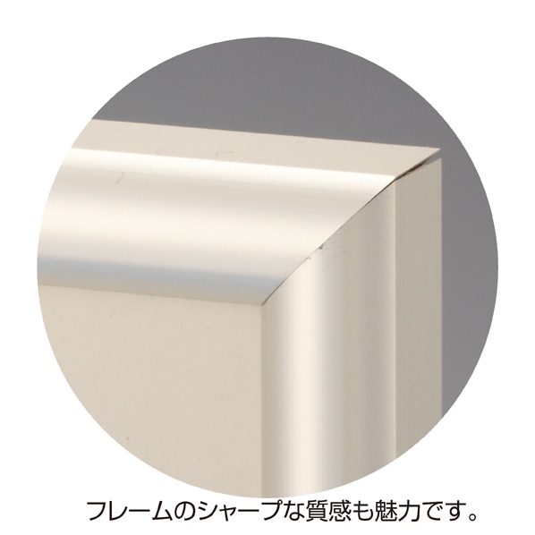 イージーロックフレーム シルバー A2