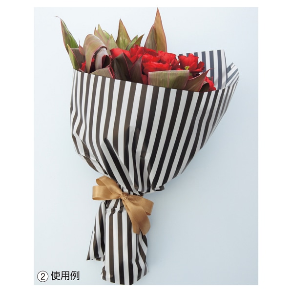 東京リボン ラッピングロール モノクローム 70cm幅×20m ドット