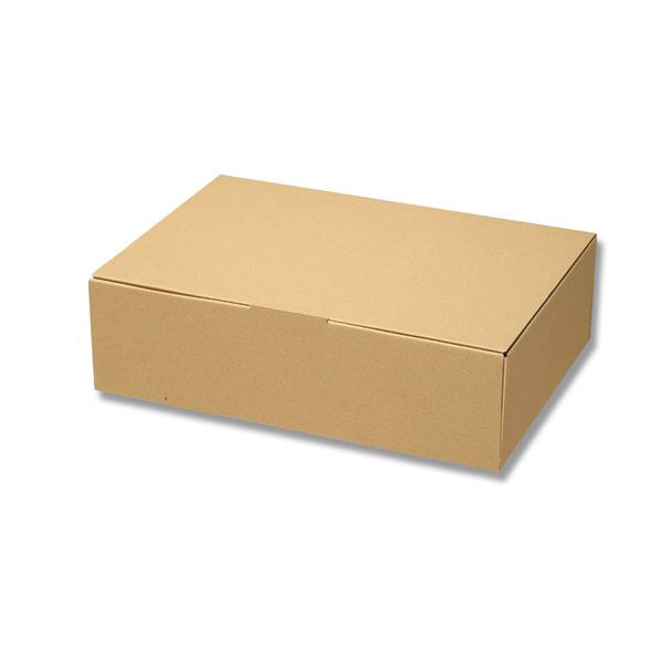 【10枚】ナチュラルボックス ECO・Z-7 内寸法:220×320×高90mm