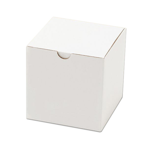 【10枚】フリーボックス  F-1