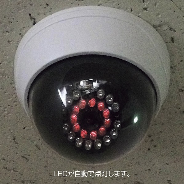 防犯ダミーカメラ ［型番：DD-128］