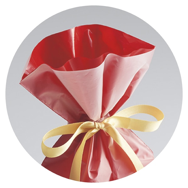 【20枚】 フロストギフトバッグ リボン付き レッド 幅17×高さ28[18]×底マチ8cm