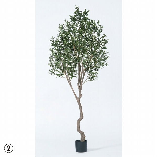 オリーブ ポット付 人工観葉植物 フェイクグリーン 通販 ストア エキスプレス オリーブ ポット付 人工観葉植物 フェイクグリーン 通販 ストア エキスプレス