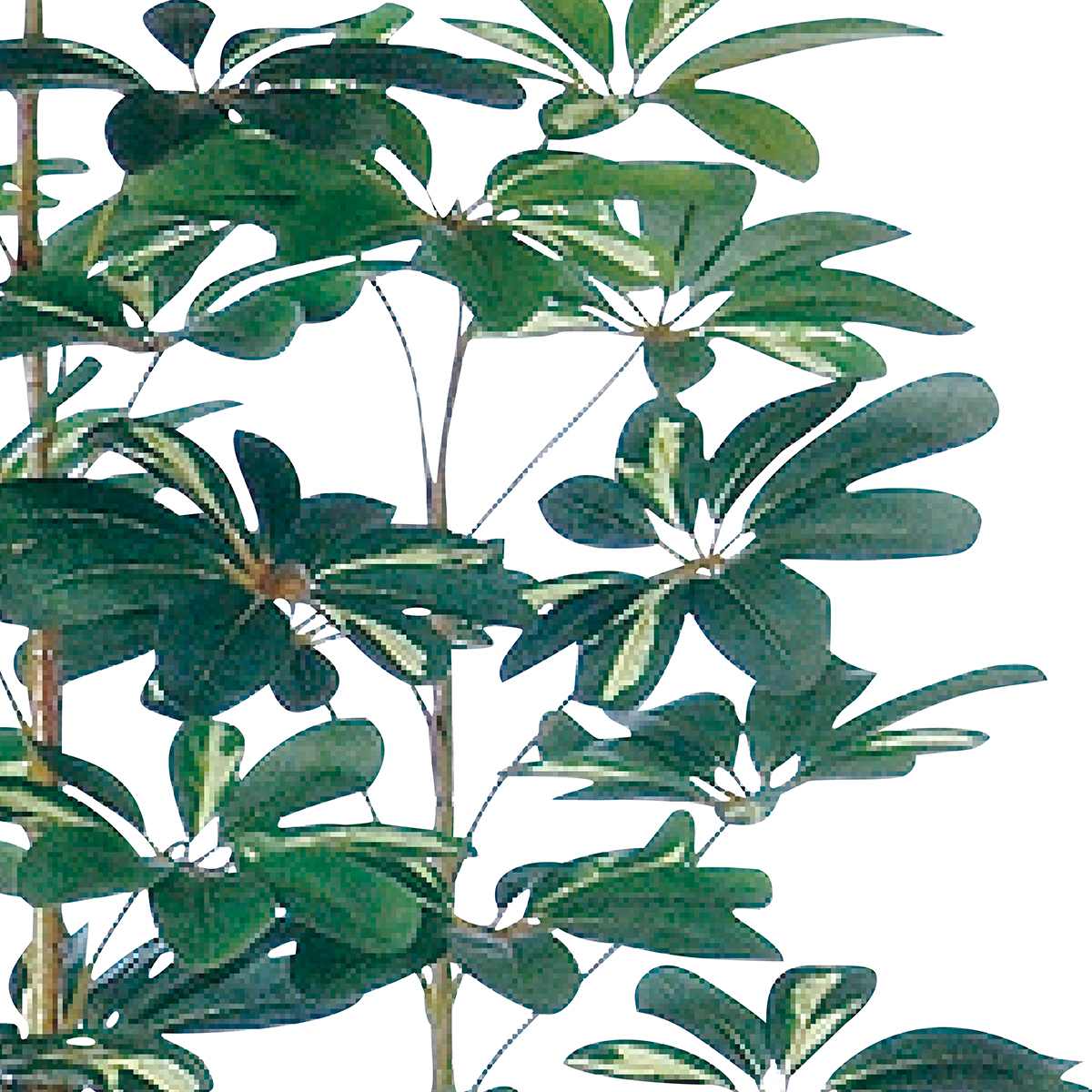 シェフレラ 人工樹木 フェイクグリーン 人工観葉植物 高さ150cm