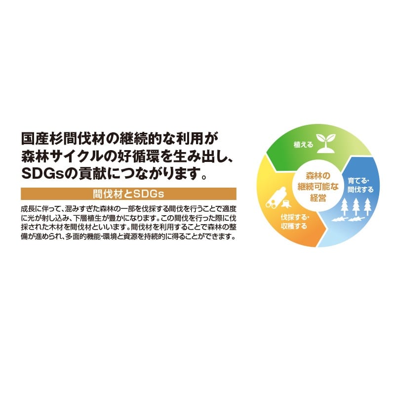 国産杉高さ調整機能付きディスプレイトレー〔ストエキオリジナル〕 45cm角