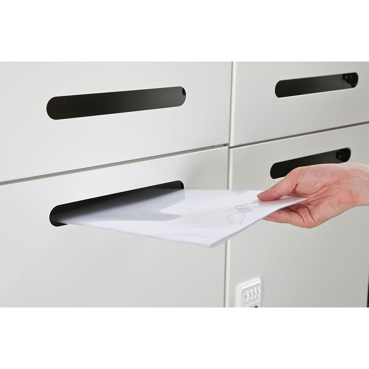 ※画像は(1)ホワイト