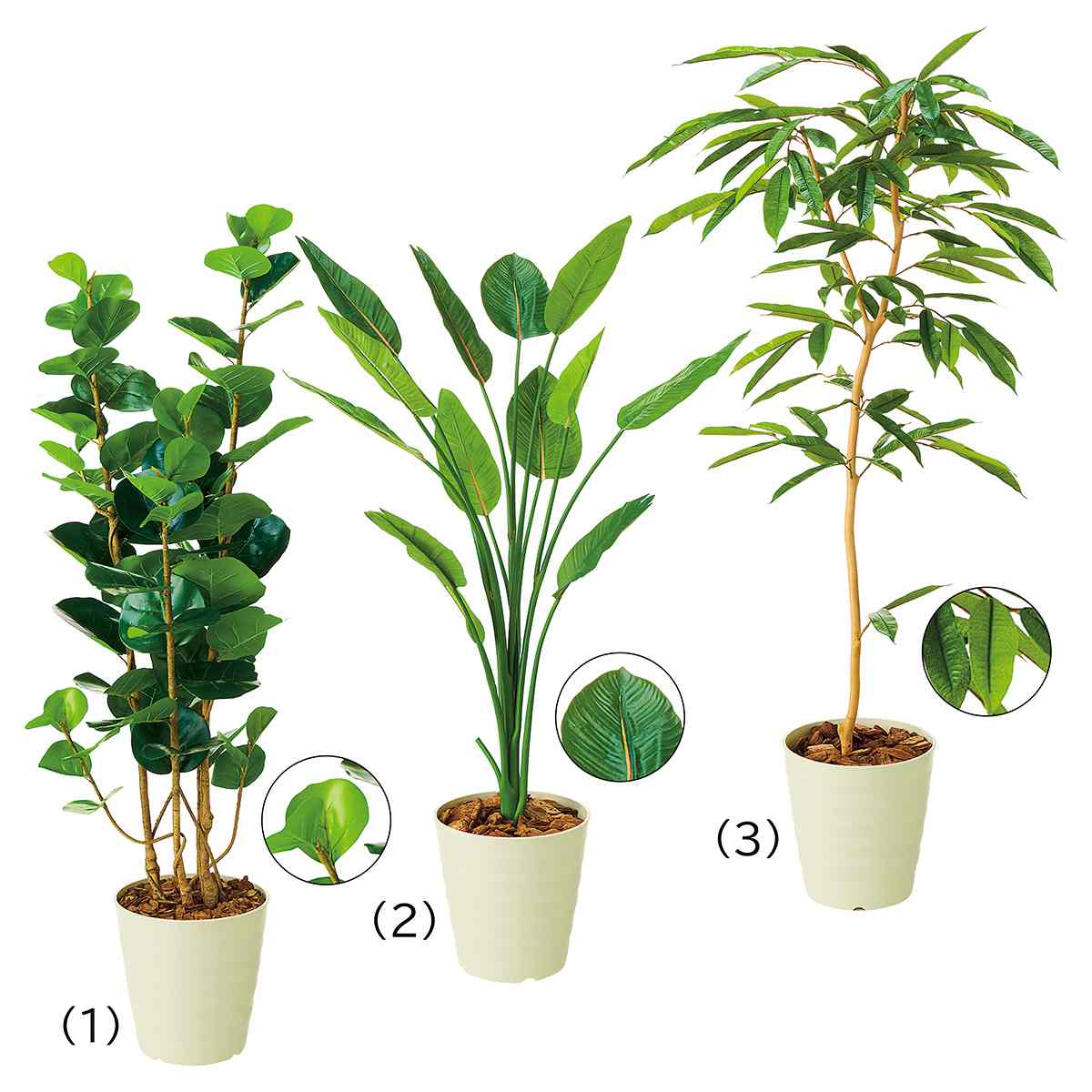 人工樹木 高さ160cm シーグレープ