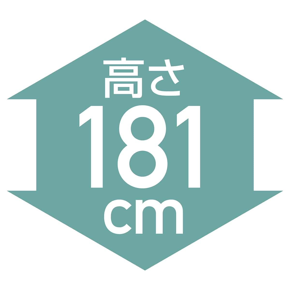 軽量用ワイヤーラック 奥行35cm アジャスタータイプ ブラック 高さ181cm 5段〔ストエキオリジナル〕 幅89.8cm
