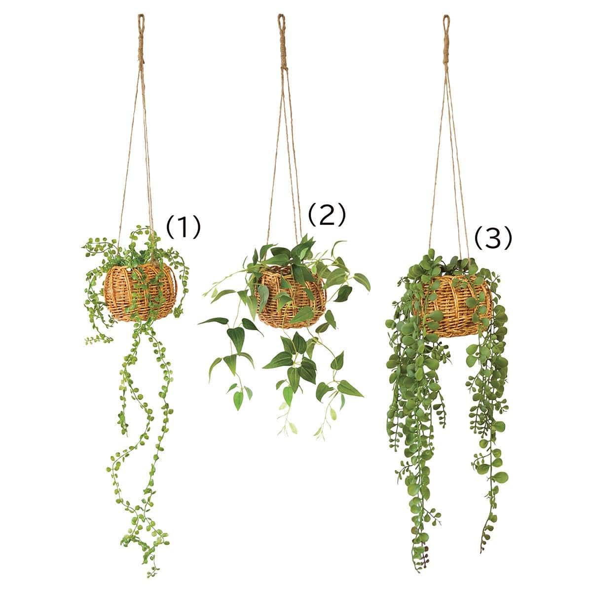 ハンギング グリーンバスケット ビーンバイン