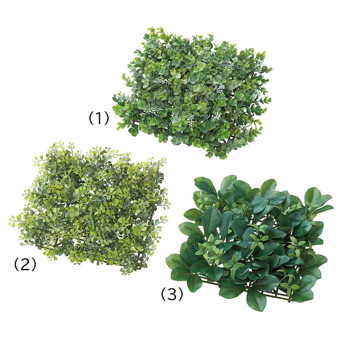 グリーンマット ユーカリベリー