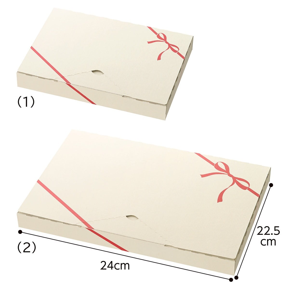 【20枚】メール便ケース リボン柄 23×16.5×3cm (A5用)