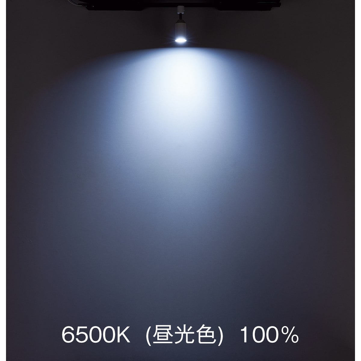 調光調色スマートスポットライト〔ストエキオリジナル〕 本体[リモコン付き]