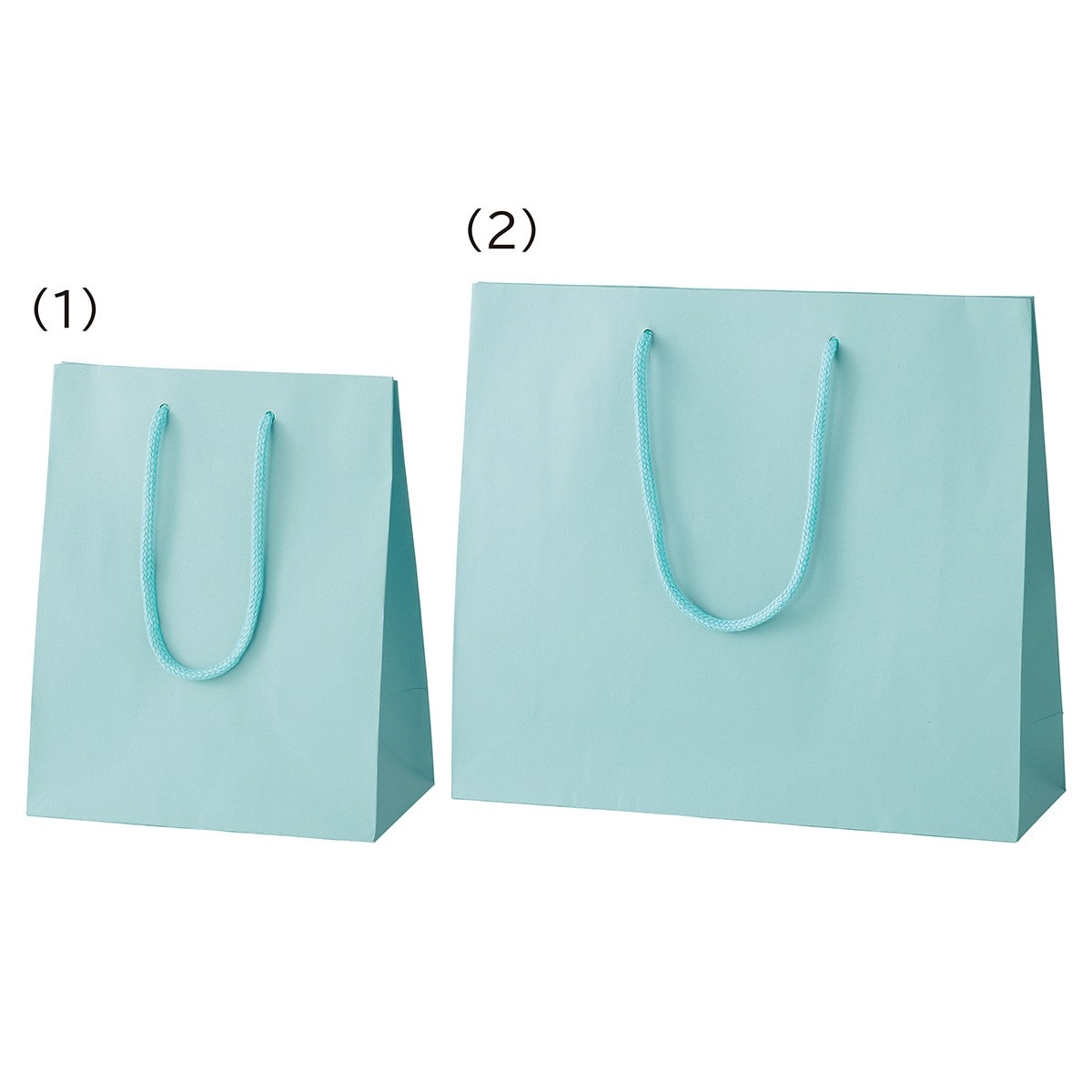 カラー手提げ紙袋 ミズ 20×12×25cm