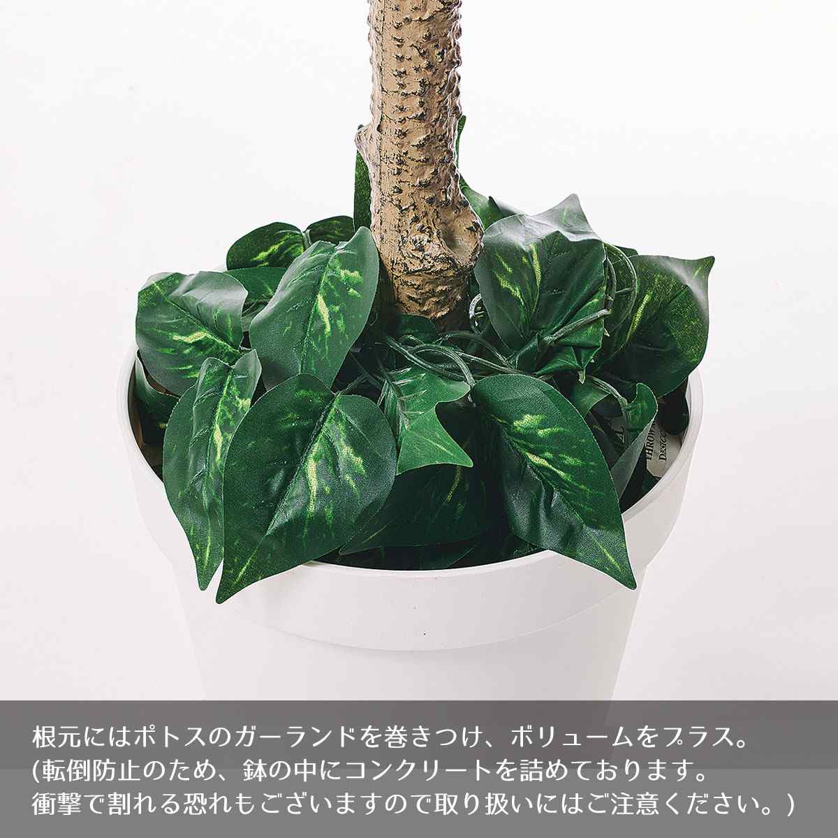 ユーカリ(人工樹木)〔ストエキオリジナル〕