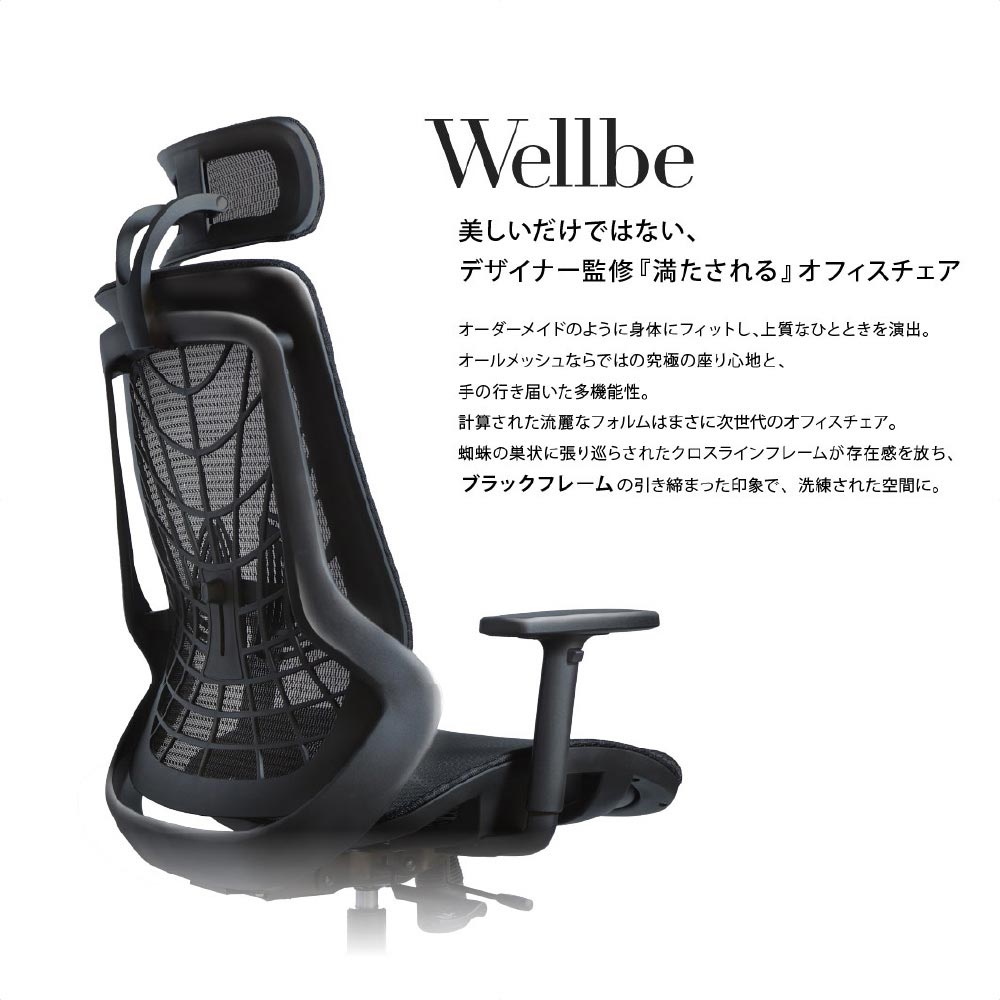 ウェルビーチェア ブラックフレーム  肘付きブラック