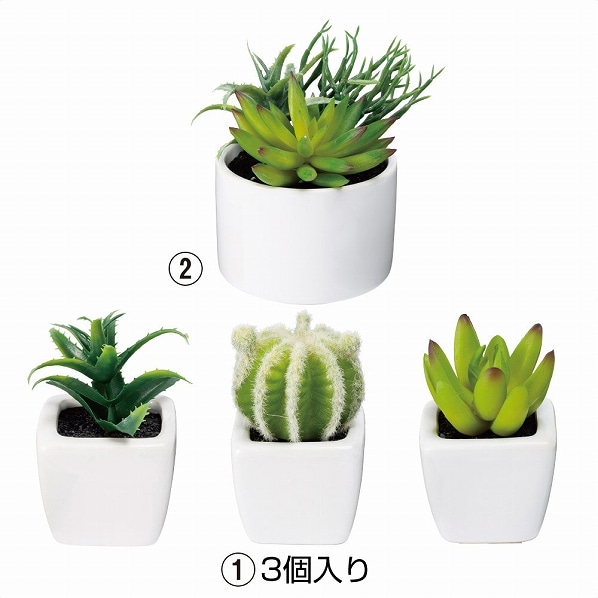多肉植物プランター フェイクグリーン インテリア リアル 通販 ストア エキスプレス 多肉植物プランター フェイクグリーン インテリア リアル 通販 ストア エキスプレス