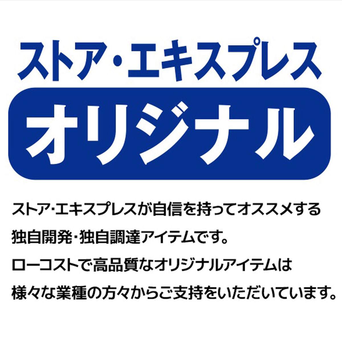 傾斜ハンガーラック〔ストエキオリジナル〕 白 【通販】ストア・エキスプレス