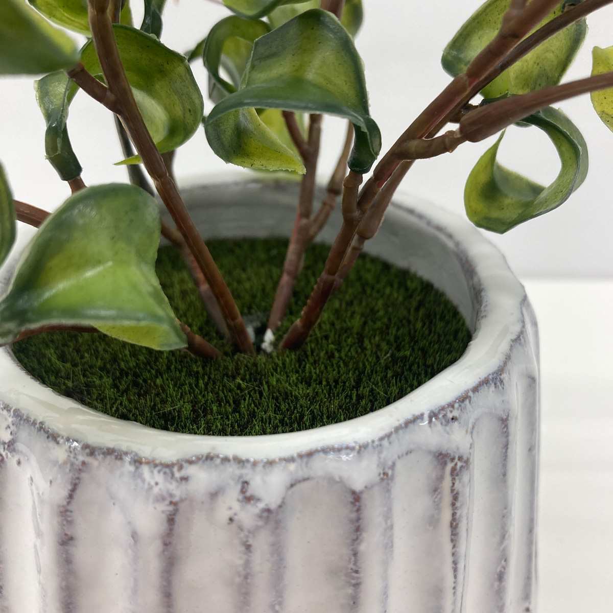 ナビール 卓上グリーンポット ベンジャミンバロック