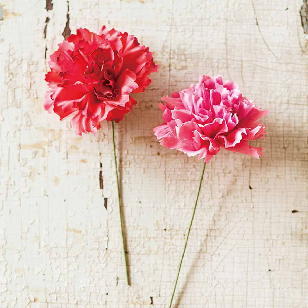 10本 カーネーションフルリール レッド