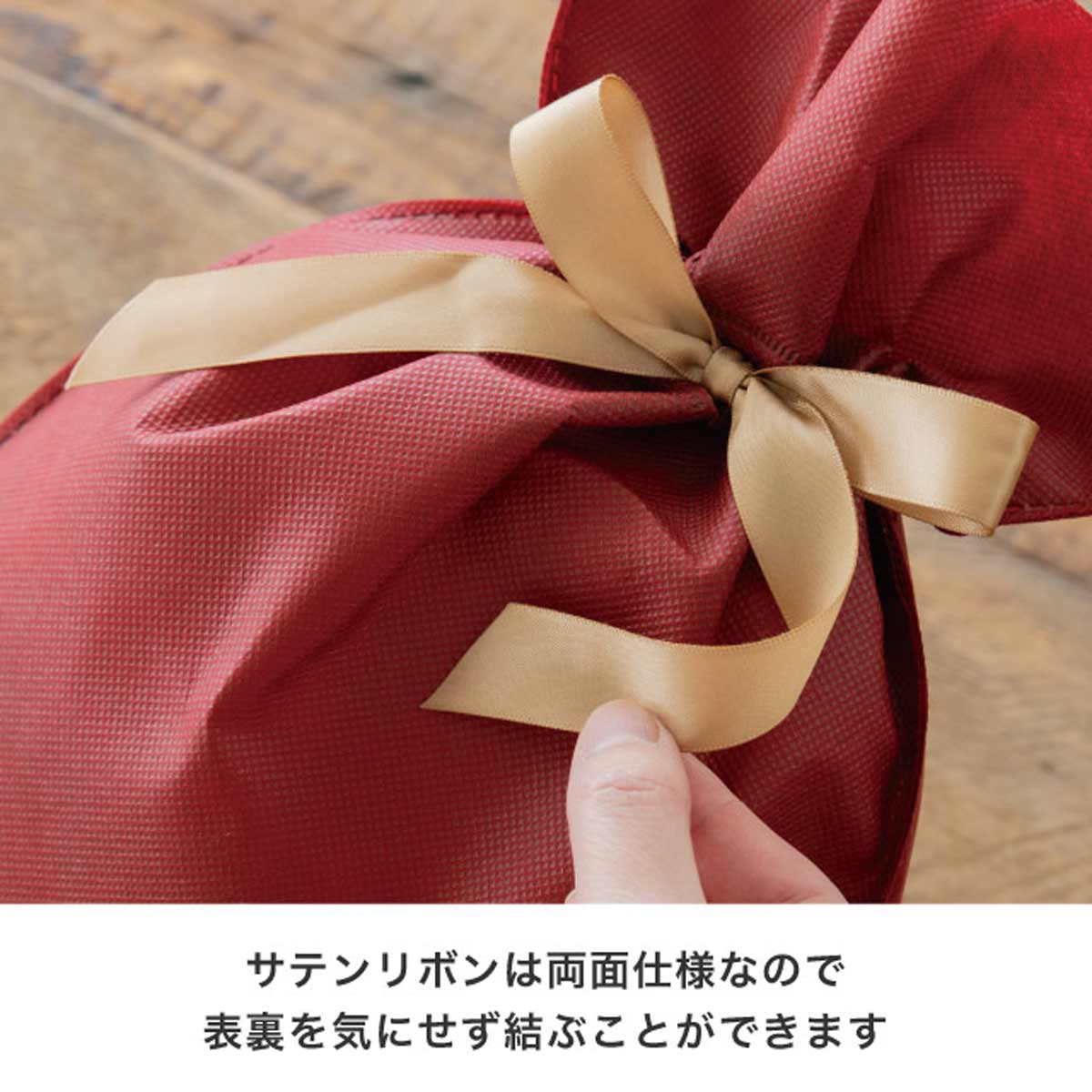 10枚 不織布リボン付きギフトバッグ シックカラー ワイン 16×25[19]cm