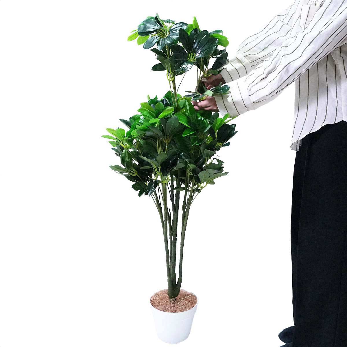 人工樹木シェフレラ 高さ100cm