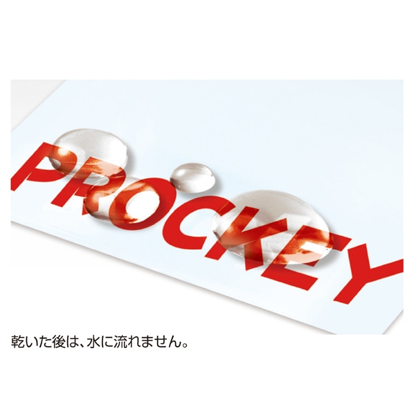 三菱鉛筆 水性顔料マーカー プロッキー 細字丸芯+太字角芯 PM-150TR 黒 PM150TR.24