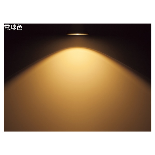 プラタ LED電球 ビーム球型(屋内外兼用)超広角 PLATA 白色［型番