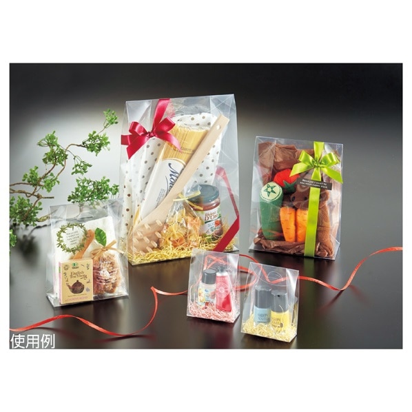 スタンドpetクリアボックス 無地 10枚 通販 ストア エキスプレス