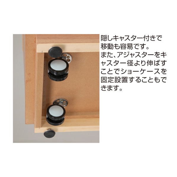 ショーケース ベック ナチュラル