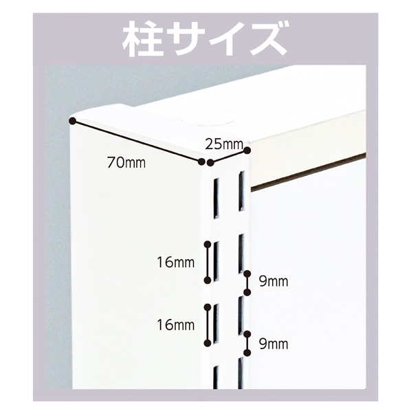 リスタプラス壁面タイプ 幅90×高さ210cm 本体 〔ストエキオリジナル〕 エクリュ