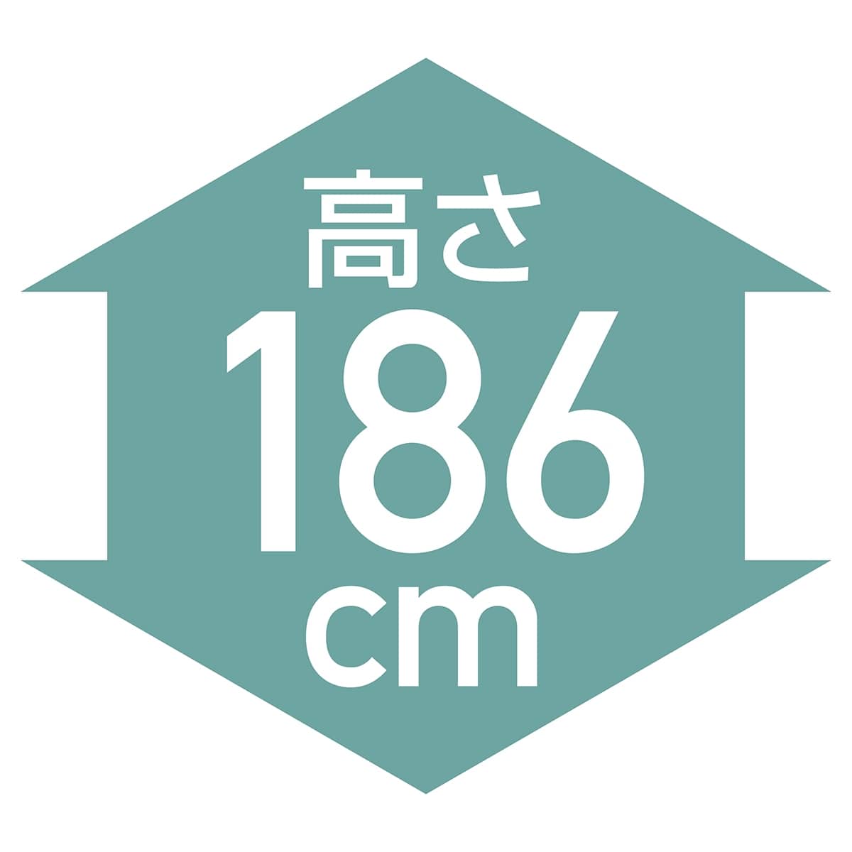 ワイヤーラック ローコスト 奥行45cm 高さ187cm 棚5段 キャスター付き 〔ストエキオリジナル〕 幅90.7cm