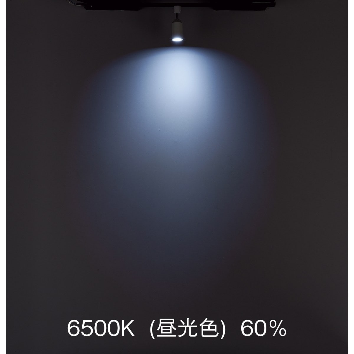 調光調色スマートスポットライト〔ストエキオリジナル〕 本体[リモコン付き]