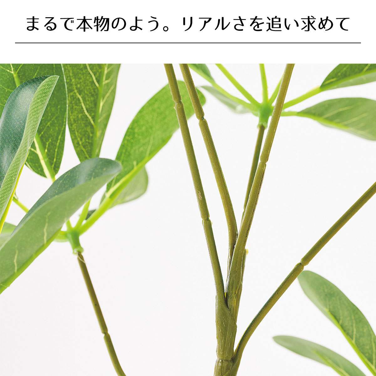 シェフレラ(人工樹木)〔ストエキオリジナル〕