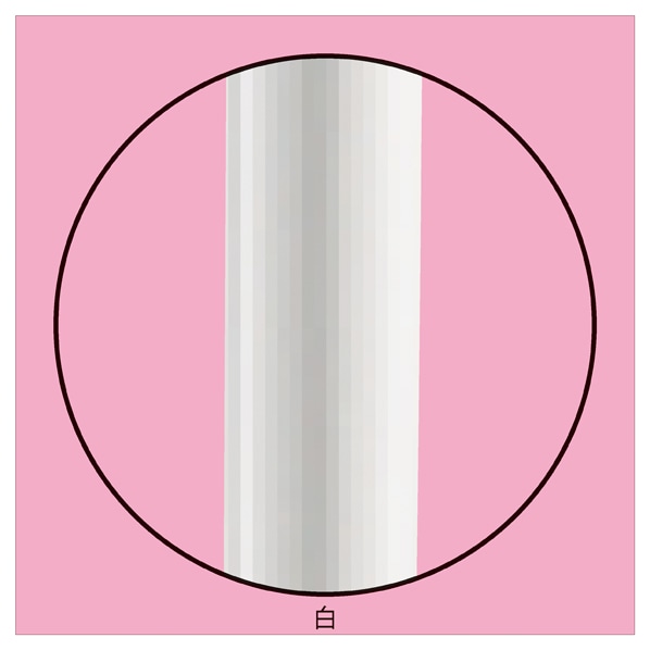 組立式ハンガーラック ホワイト〔ストエキオリジナル〕 幅90cmタイプ