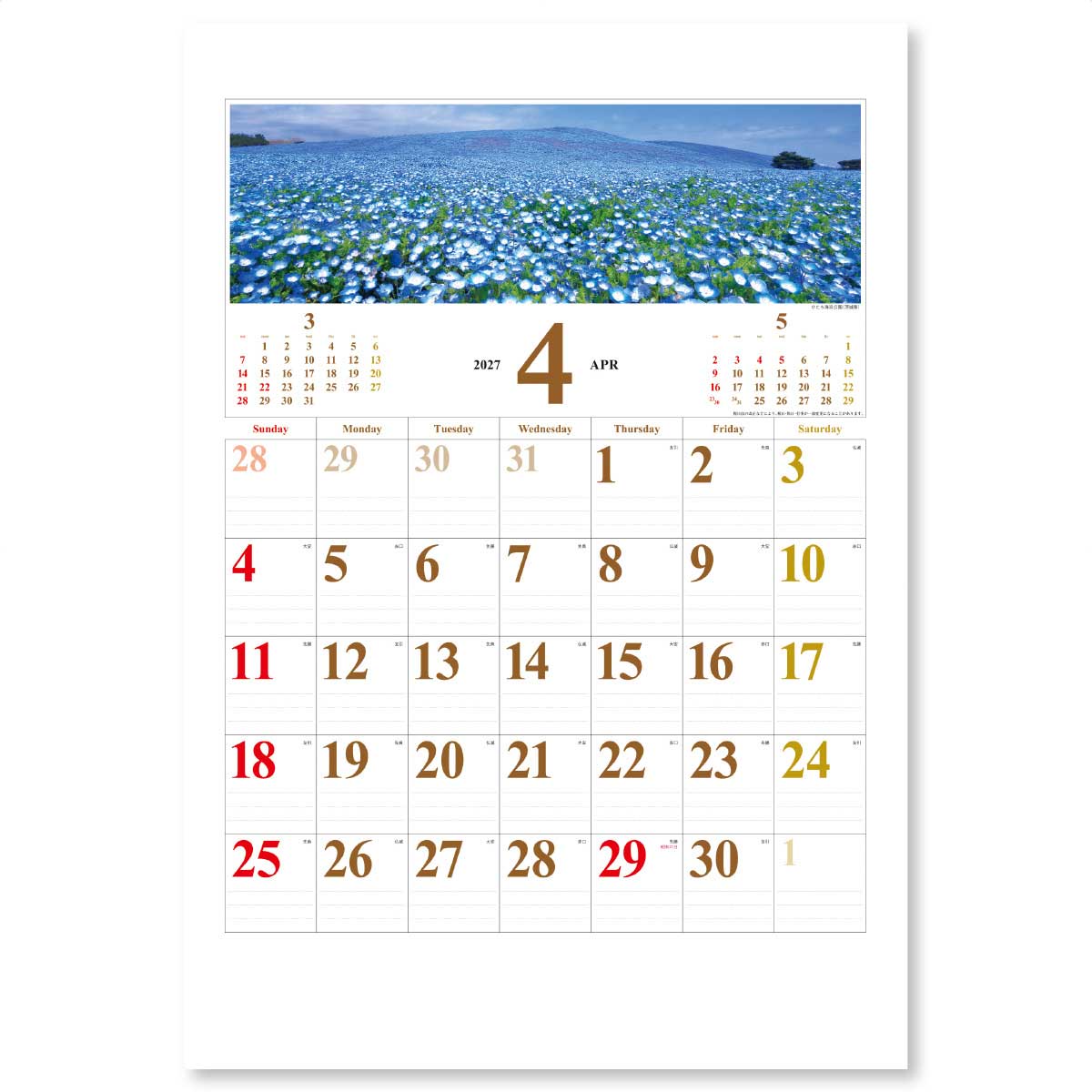 4月 ひたち海浜公園(茨城県)