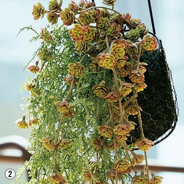 ハンギングフェイクグリーン 春 装飾 ディスプレイ 飾り付け 花 造花 フェイク ナチュラル 通販 ストア エキスプレス