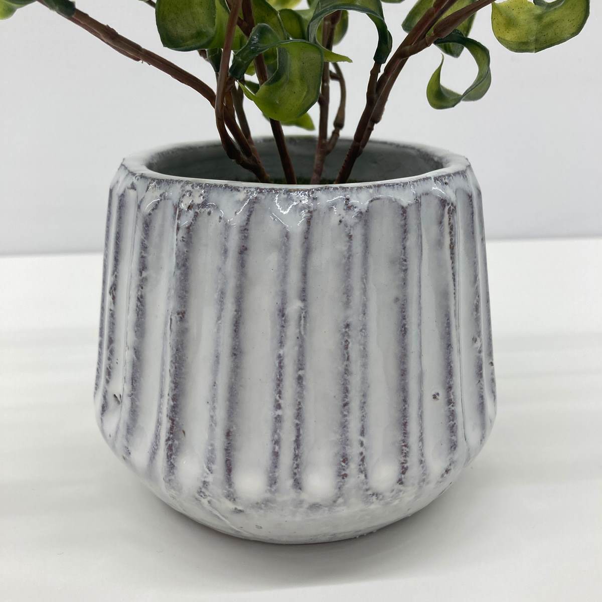 ナビール 卓上グリーンポット ベンジャミンバロック