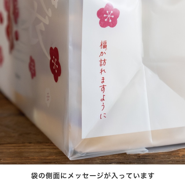 福袋 フロストバッグ 梅 幅20×奥行10×高さ25cm