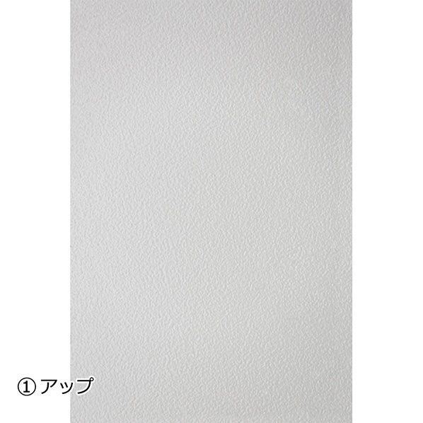 タカショー イーズ ガラステーブル IGF-10T