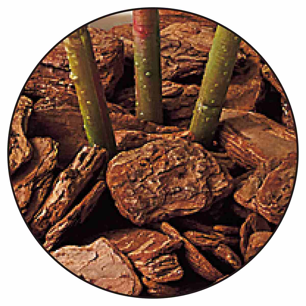 シェフレラ 人工樹木 フェイクグリーン 人工観葉植物 高さ150cm