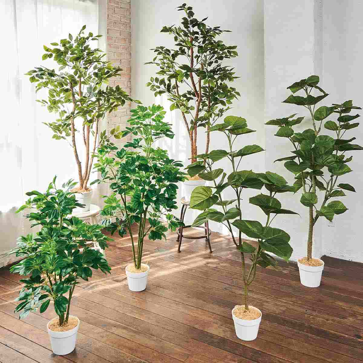 シェフレラ 人工樹木 フェイクグリーン 人工観葉植物