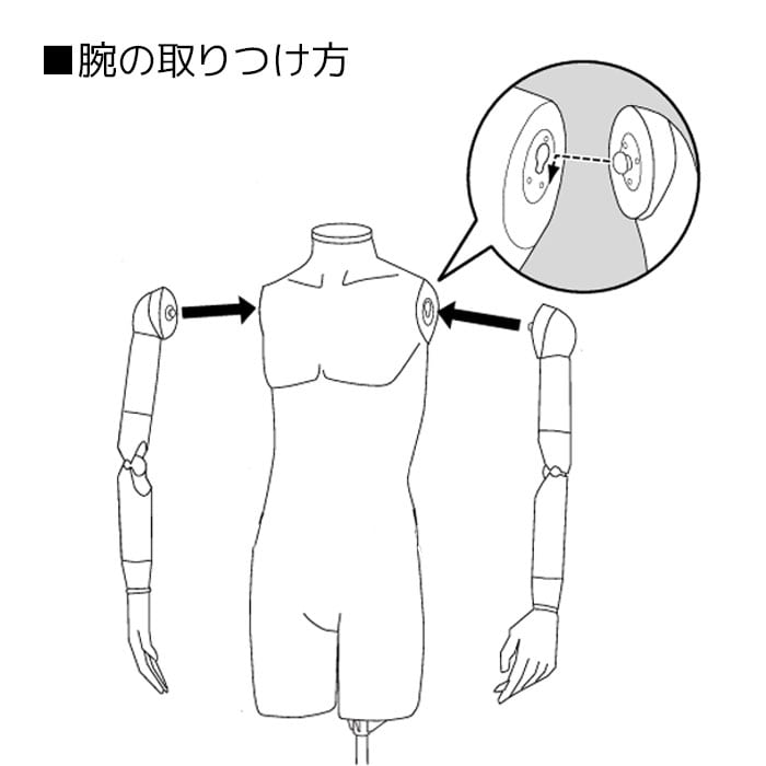 軽量ABS製 婦人腕付きトルソー〔ストエキオリジナル〕 9号