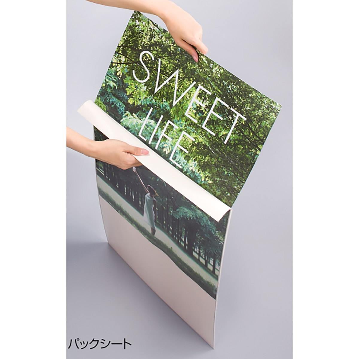 フロントオープンパネル シルバー 屋外型 A2