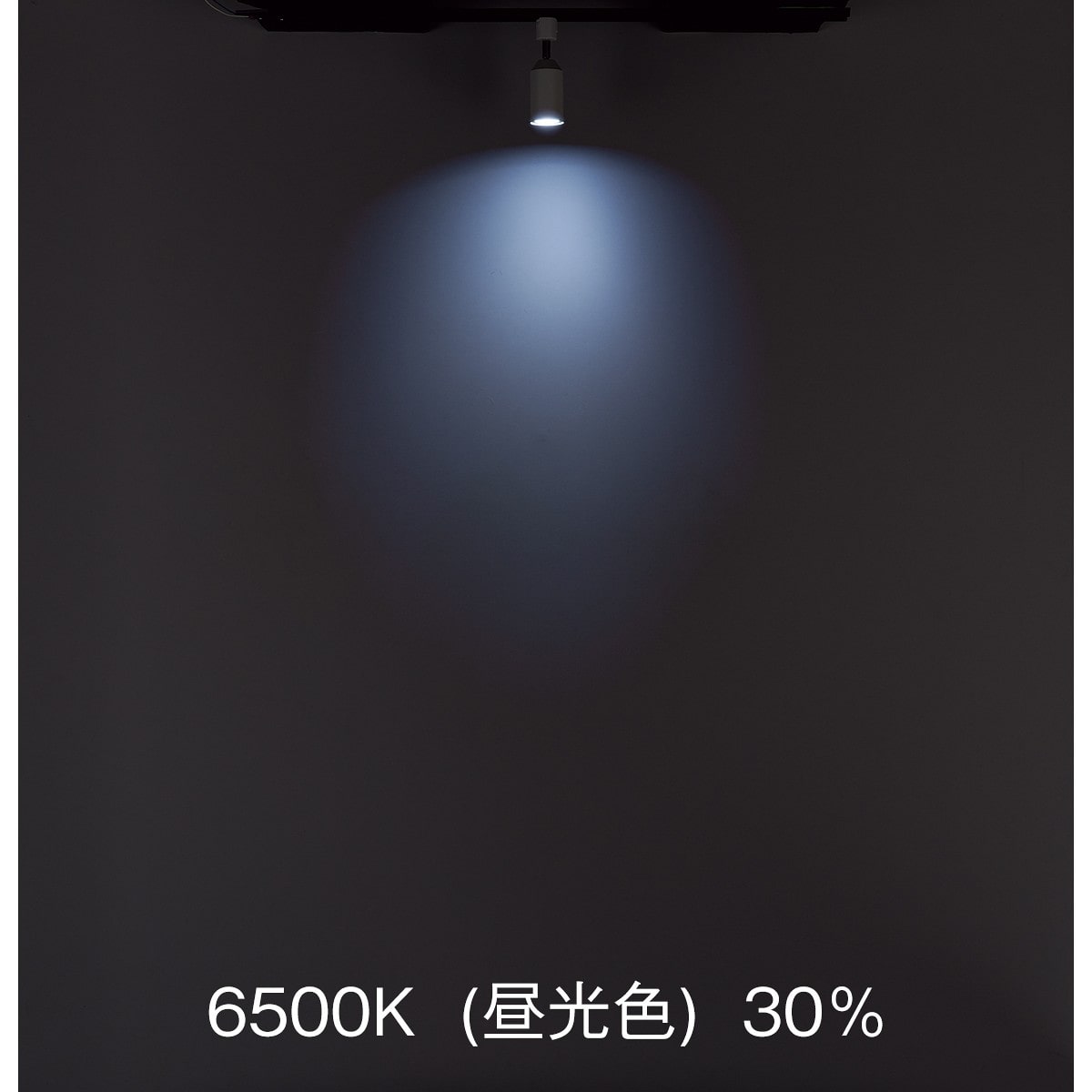 調光調色スマートスポットライト〔ストエキオリジナル〕 本体[リモコン付き]