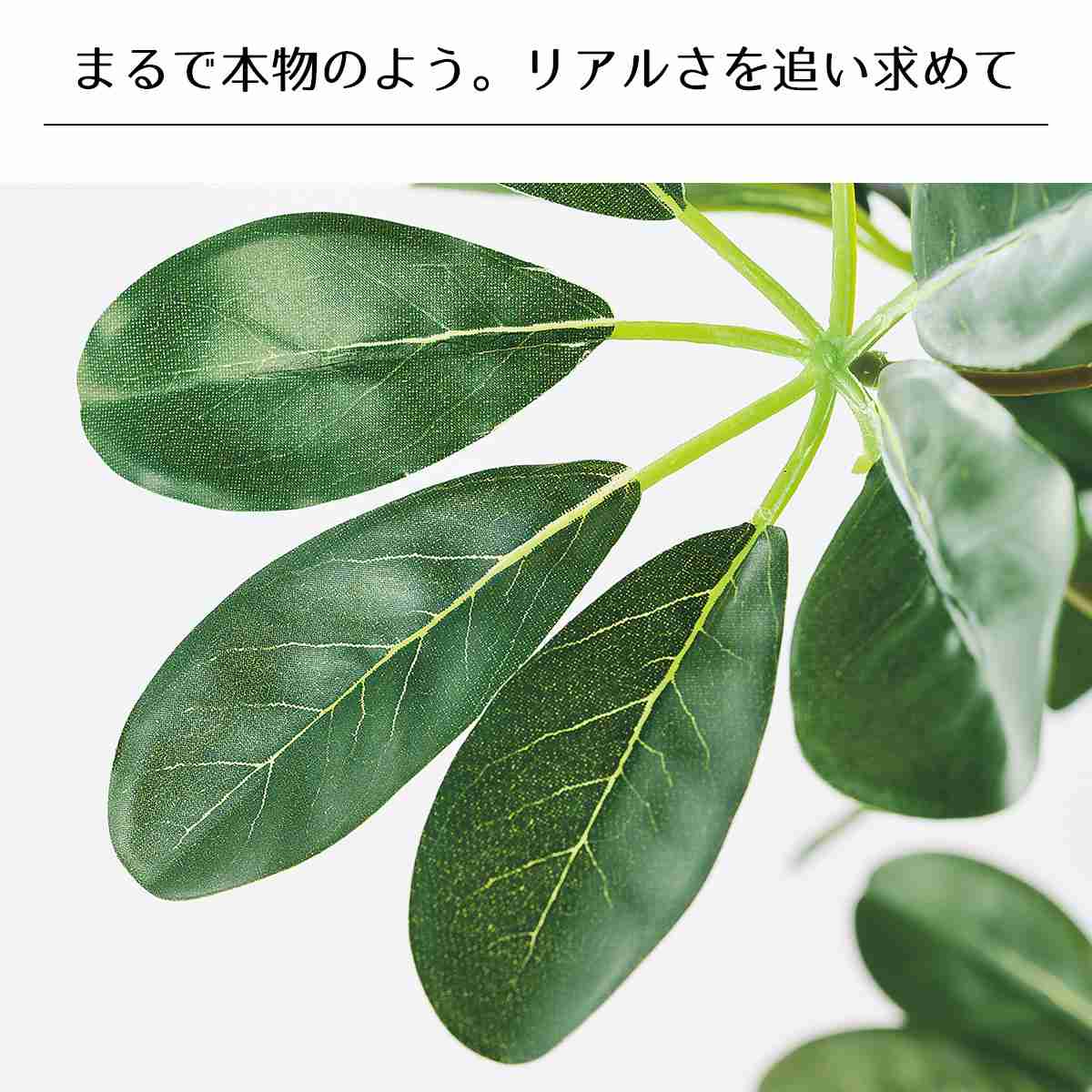 シェフレラ(人工樹木)〔ストエキオリジナル〕