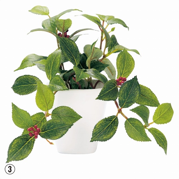 グリーンポット光触媒加工 シュガーバイン 163756