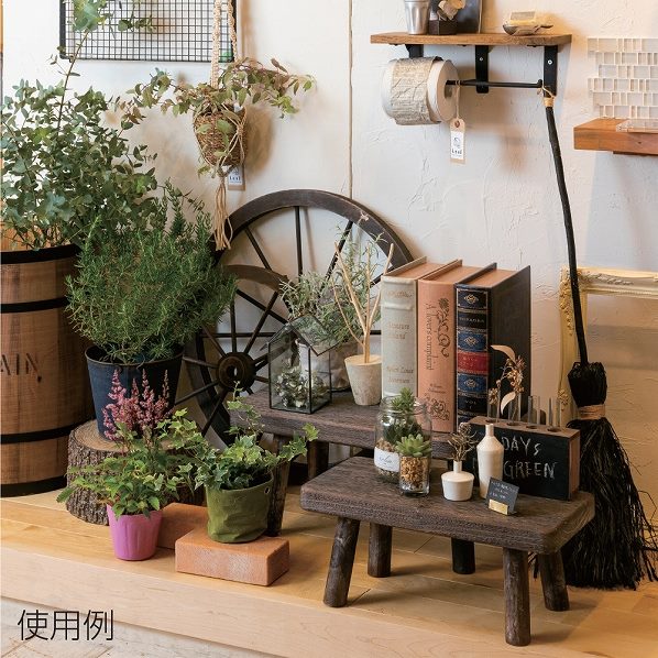 ランバージャックスタンド ハロウィングッズ ディスプレイ 通販 ストア エキスプレス