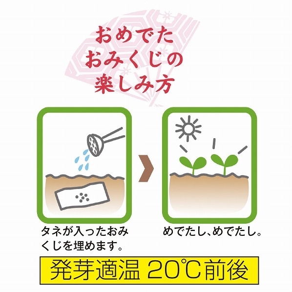 おめでたおみくじ 縁起物 お正月 イベント 通販 ストア エキスプレス