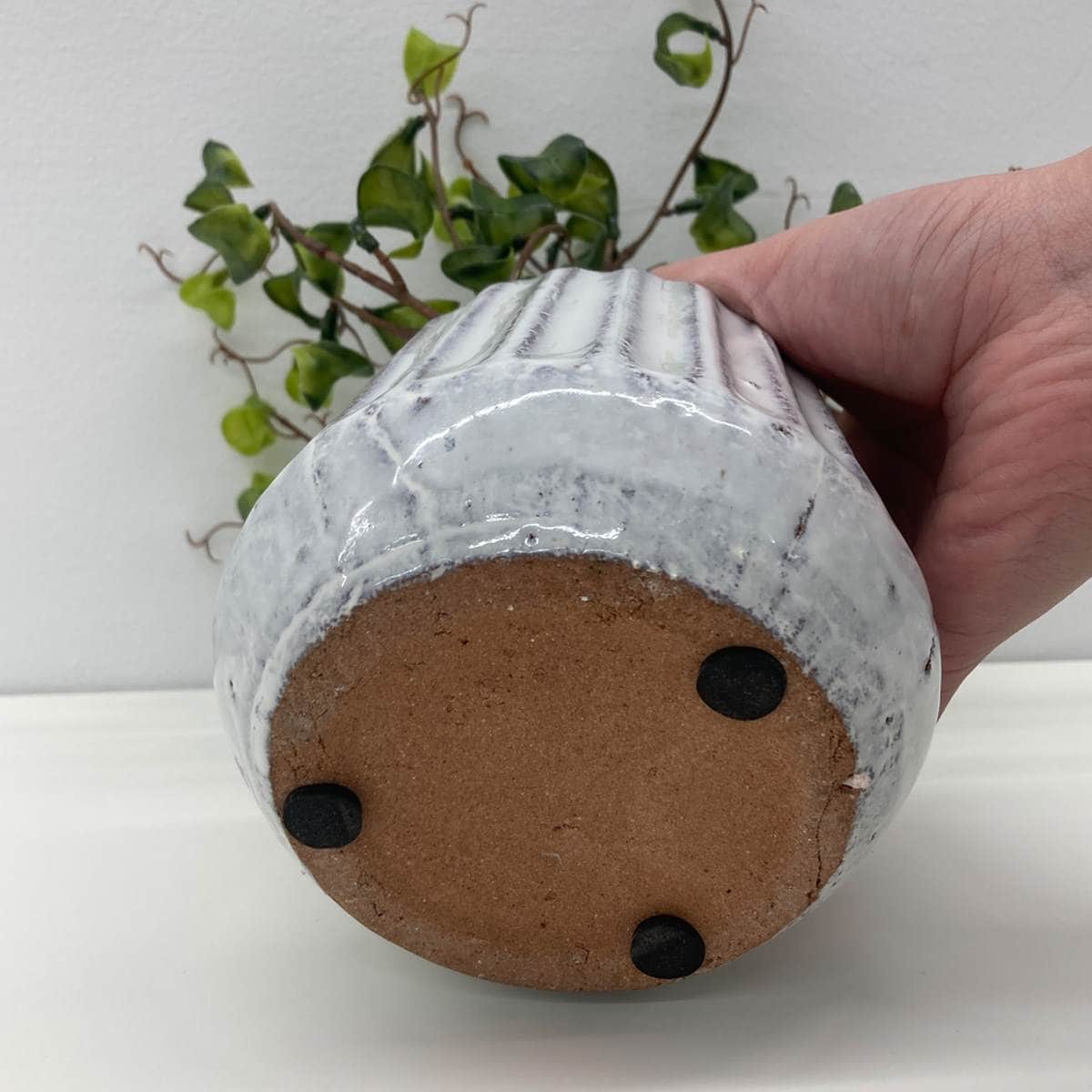 ナビール 卓上グリーンポット ベンジャミンバロック