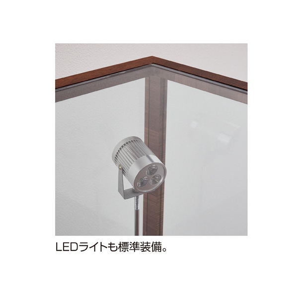 ショーケース マレー ホワイト